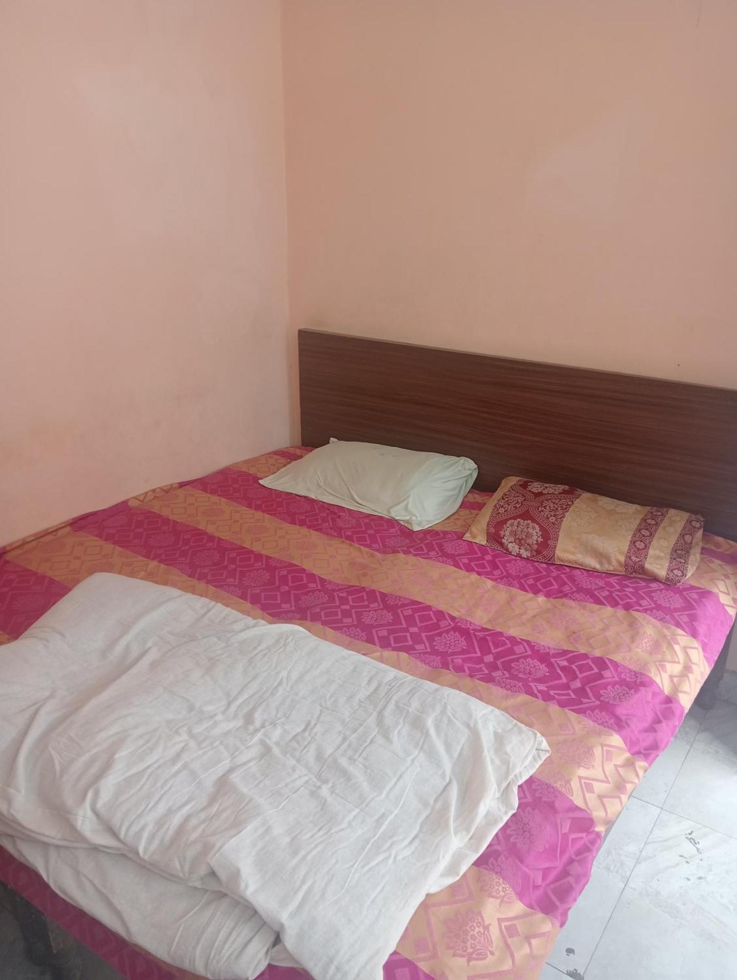 Ever Green Guest House Travel & Pg Nova Deli Exterior foto